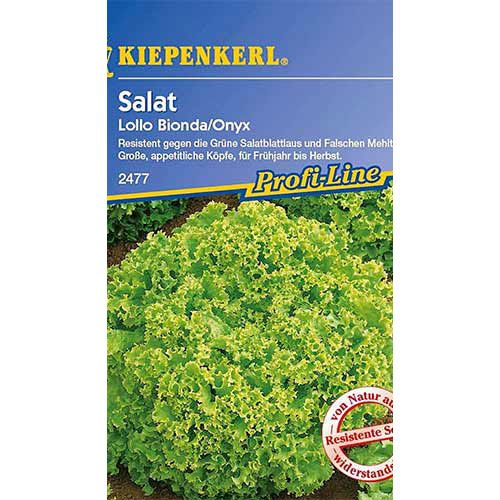Salată Lollo Bionda Kiepenkerl articol fotografie 1 Salată Lollo Bionda Kiepenkerl imagine 1 articol 86474