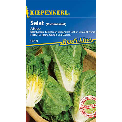 Salată romană Attico Kiepenkerl articol fotografie 1 Salată romană Attico Kiepenkerl imagine 1 articol 86515