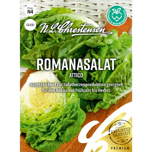 Salată romană Attico imagine 1 articol 86092