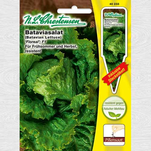 Salată tip batavia Floreal F1 imagine 1 articol 69026