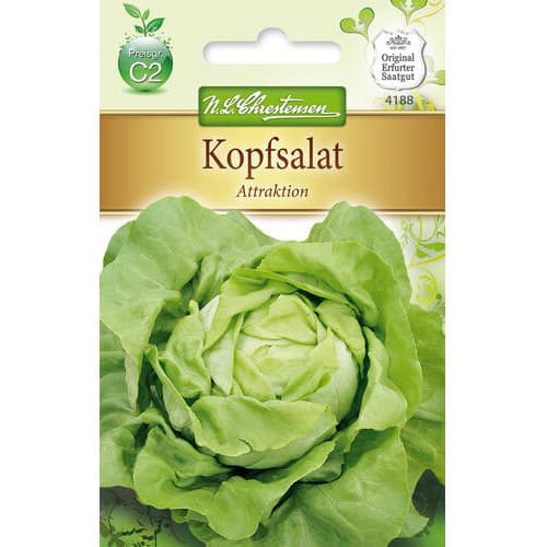 Salată verde Attraktion imagine 1 articol 78768