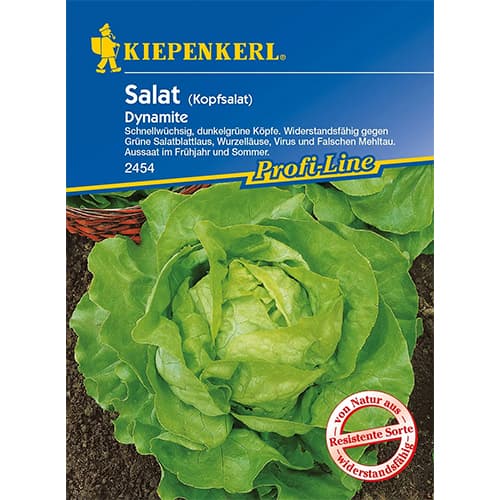 Salată verde Dynamite imagine 1 articol 86461