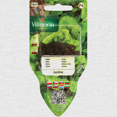 Salata verde Justine imagine 1 articol 69743