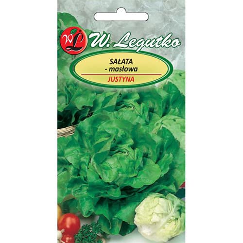 Salată verde Justyna articol fotografie 1 Salată verde Justyna imagine 1 articol 86899