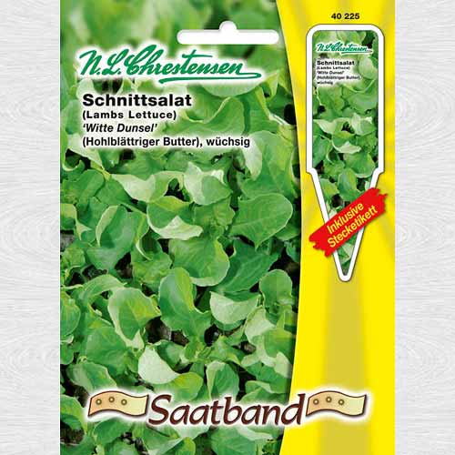 Salată White Dunsel imagine 1 articol 69182