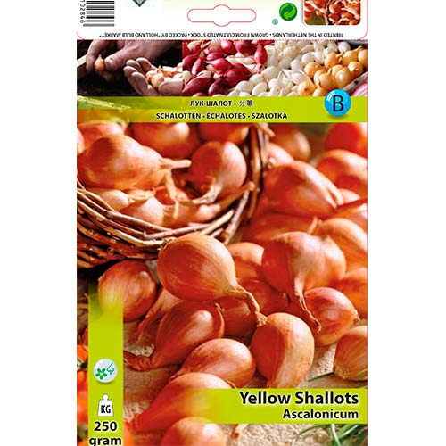 Șalotă galbenă imagine 1 articol 70498