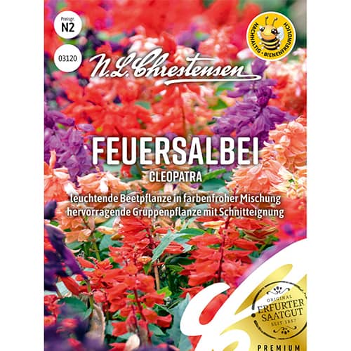 Salvie decorativă Cleopatra, mix multicolor imagine 1 articol 86150