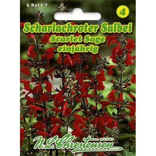 Salvie Scarlet imagine 1 articol 96446