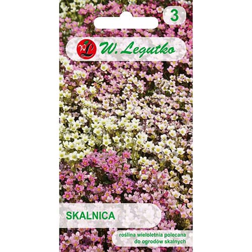 Saxifraga, mix multicolor imagine 1 articol 87113