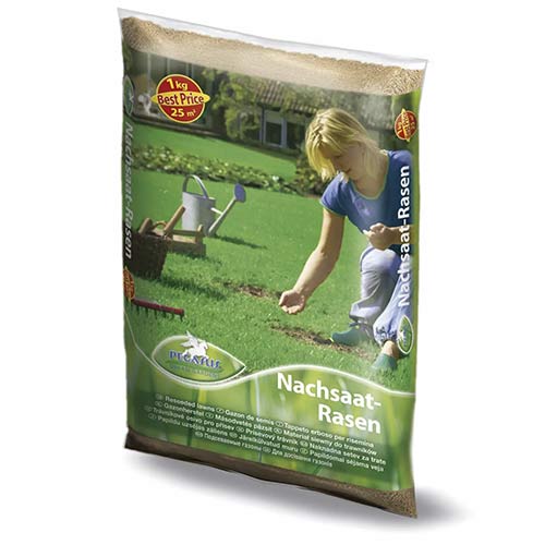 Semințe gazon pentru supraînsămânțare articol fotografie 1 Semințe gazon pentru supraînsămânțare imagine 1 articol 96895