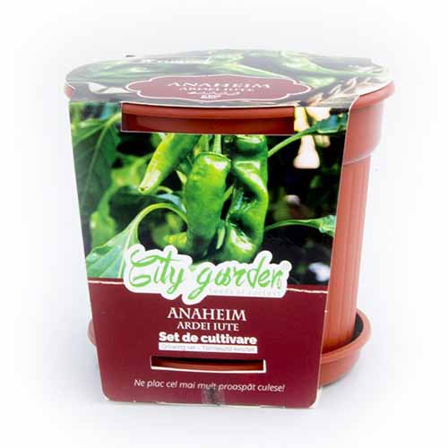 Set de cultivare - Ardei iute Anaheim Chilli imagine 1 articol 96312