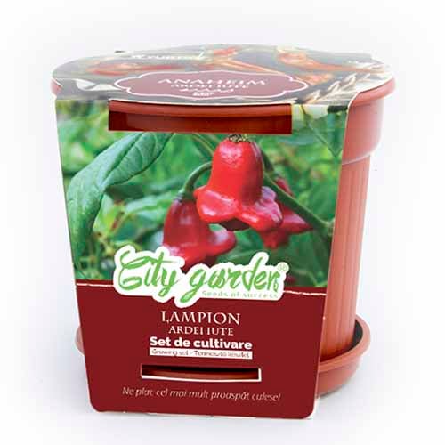 Set de cultivare - Ardei iute Chilli Lampion imagine 1 articol 96310