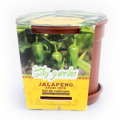 Set de cultivare - Ardei iute Mexican Jalapeno imagine 1 articol 96309