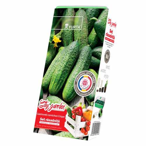 Set răsadniță medie cu soiuri românești Castraveți Crisan imagine 1 articol 96295