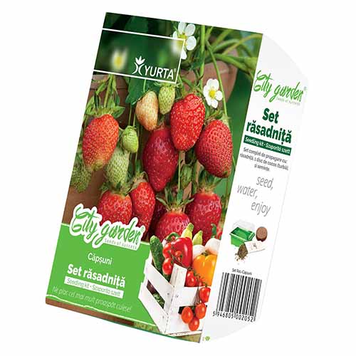 Set răsadniță mică și Căpșuni imagine 1 articol 96274