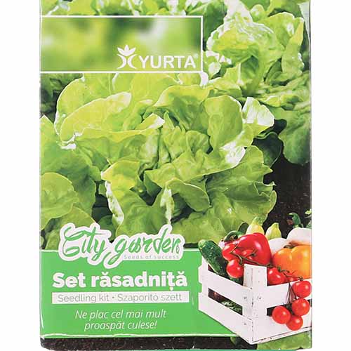 Set răsadniță mică și Salată de căpățână imagine 1 articol 96271