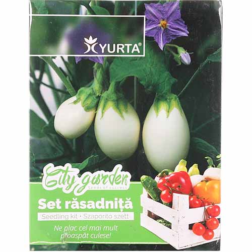 Set răsadniță mică și Vânătă albă imagine 1 articol 96268