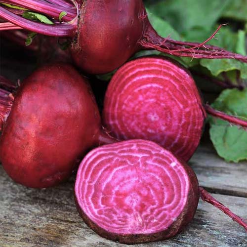 Sfeclă Egipski articol fotografie 1 Sfeclă Egipski imagine 1 articol 66639