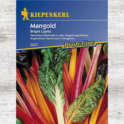 Sfeclă elvețiană Bright Lights articol fotografie 1 Sfeclă elvețiană Bright Lights imagine 1 articol 69113