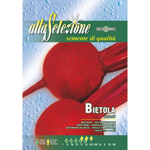 Sfeclă roșie Detroit articol fotografie 1 Sfeclă roșie Detroit imagine 1 articol 87178