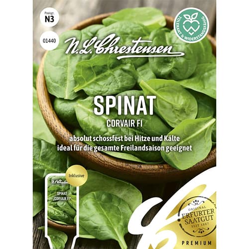 Spanac Corvair F1 imagine 1 articol 96497