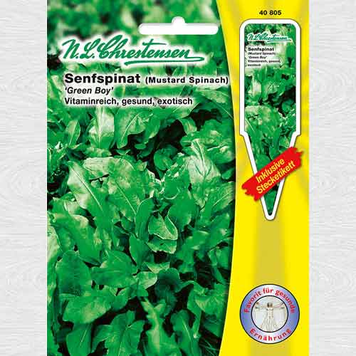 Spanac oriental Green Boy articol fotografie 1 Spanac oriental Green Boy imagine 1 articol 69184