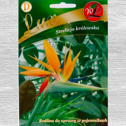 Streliția, Pasărea paradisului imagine 1 articol 69632