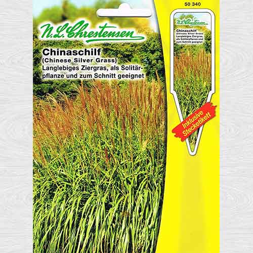 Stuf chinezesc (Iarba elefantului) articol fotografie 1 Stuf chinezesc (Iarba elefantului) imagine 1 articol 69342