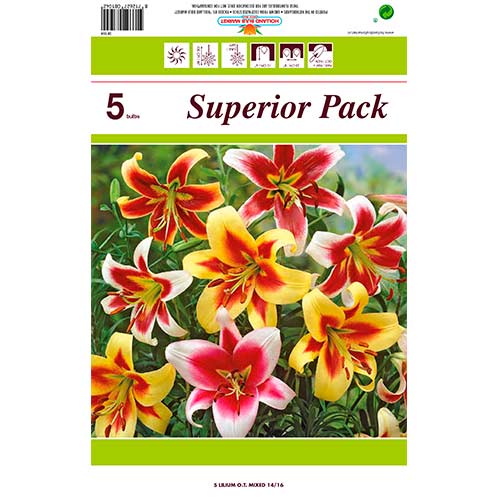 Ofertă specială! Crini uriași (OT-Hybrid), set de 5 soiuri imagine 1 articol 76474