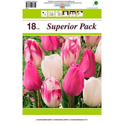 Ofertă specială! Lalele Morning Star, set de 18 bulbi articol fotografie 1 Ofertă specială! Lalele Morning Star, set de 18 bulbi imagine 1 articol 67560
