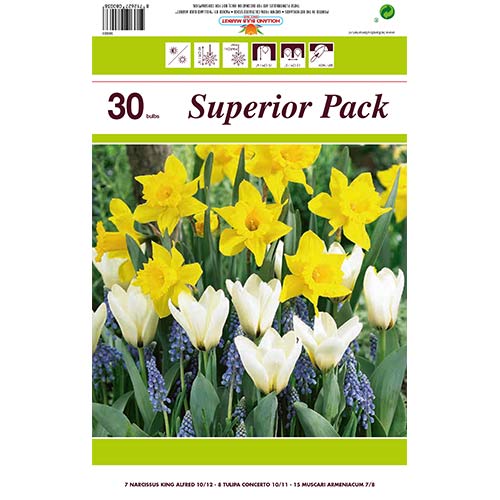 Ofertă specială! Narcise, Lalele si Muscari, set de 30 de bulbi articol fotografie 1 Ofertă specială! Narcise, Lalele si Muscari, set de 30 de bulbi imagine 1 articol 67902