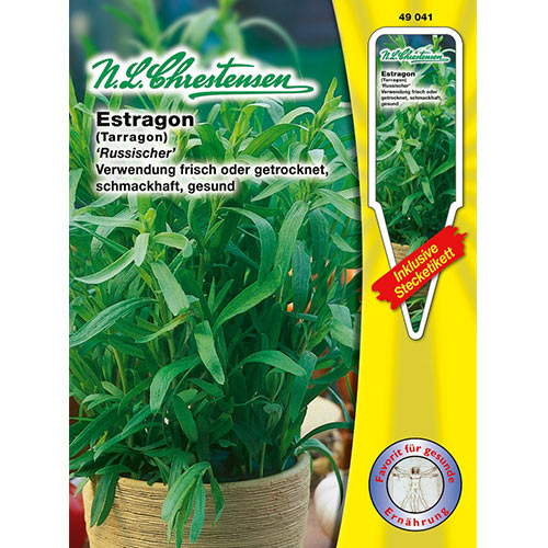 Tarhon rusesc imagine 1 articol 69071