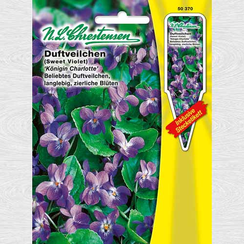 Toporași Queen Charlotte articol fotografie 1 Toporași Queen Charlotte imagine 1 articol 69403