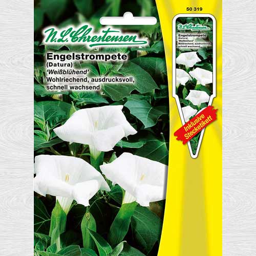 Trompeta îngerilor albă (Chrestensen) imagine 1 articol 69254