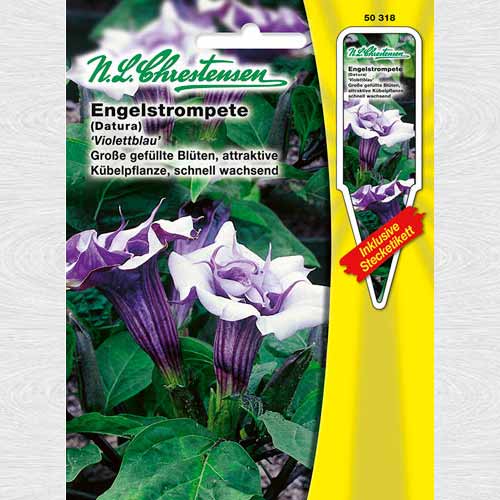 Trompeta îngerilor Violettblau imagine 1 articol 69253