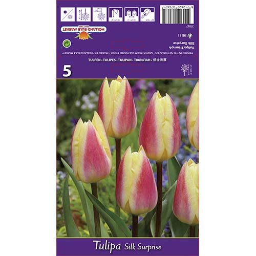 Lalele Silk Surprise articol fotografie 1 Lalele Silk Surprise imagine 1 articol 68117