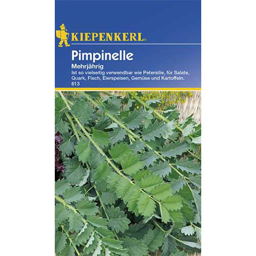 Urzică parfumată perenă Kiepenkerl articol fotografie 1 Urzică parfumată perenă Kiepenkerl imagine 1 articol 86372