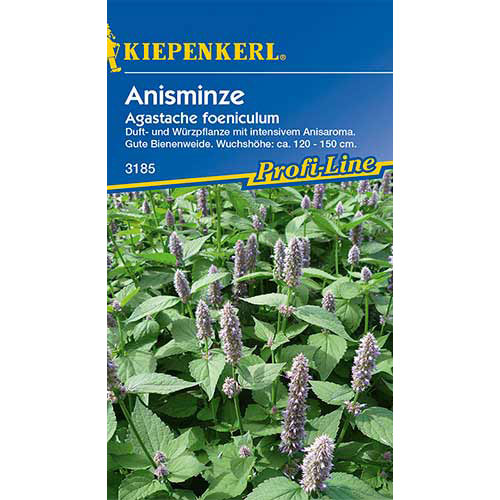 Urzică parfumată Kiepenkerl articol fotografie 1 Urzică parfumată Kiepenkerl imagine 1 articol 86371