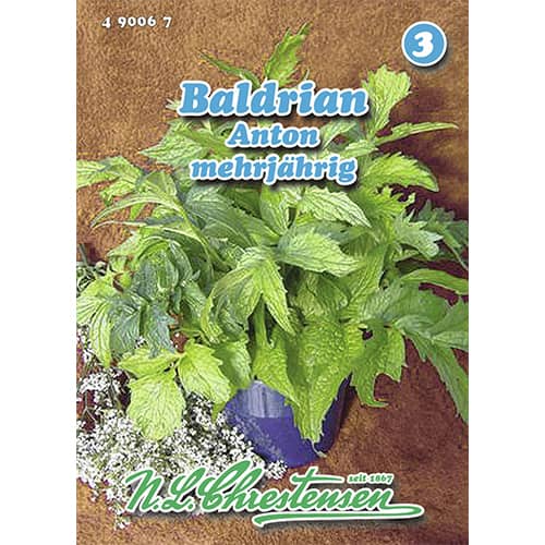 Valeriană Anton imagine 1 articol 96463