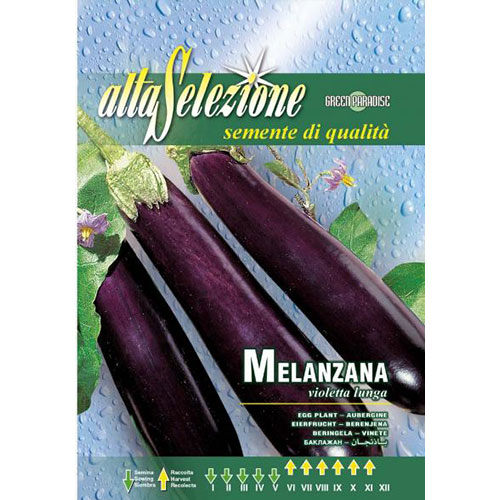 Vânătă Violetta Lunga imagine 1 articol 87195