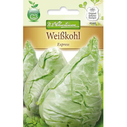 Varză albă Express articol fotografie 1 Varză albă Express imagine 1 articol 78726