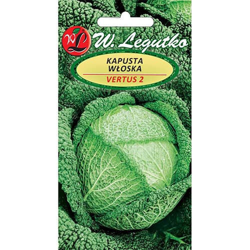 Varză italiană Vertus articol fotografie 1 Varză italiană Vertus imagine 1 articol 78476