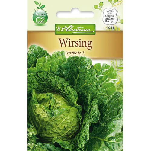 Varză creață Vorbote 3 imagine 1 articol 78727