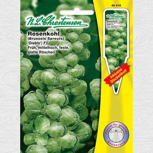 Varză de Bruxelles Diablo F1 imagine 1 articol 69165