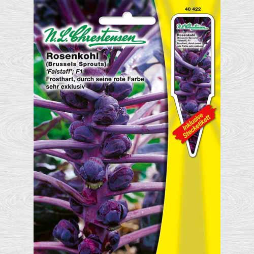 Varză de Bruxelles Falstaff articol fotografie 1 Varză de Bruxelles Falstaff imagine 1 articol 69166