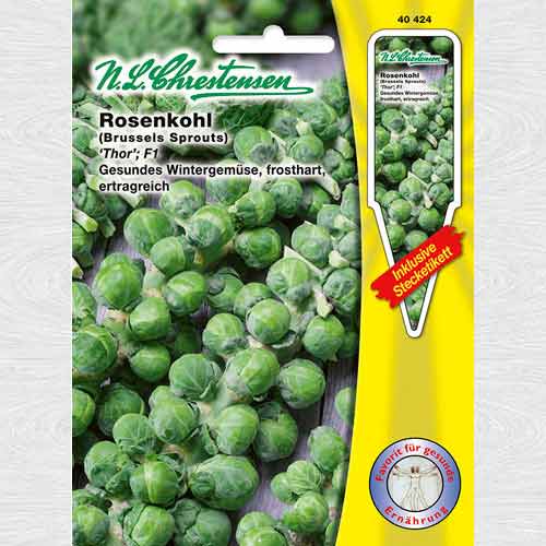 Varză de Bruxelles Thor F1 imagine 1 articol 69167