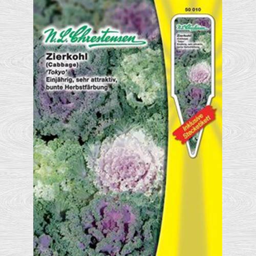 Varză decorativă Tokyo, mix multicolor imagine 1 articol 69252