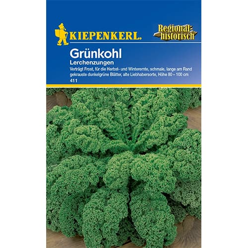 Varză kale Lerchenzungen imagine 1 articol 77502