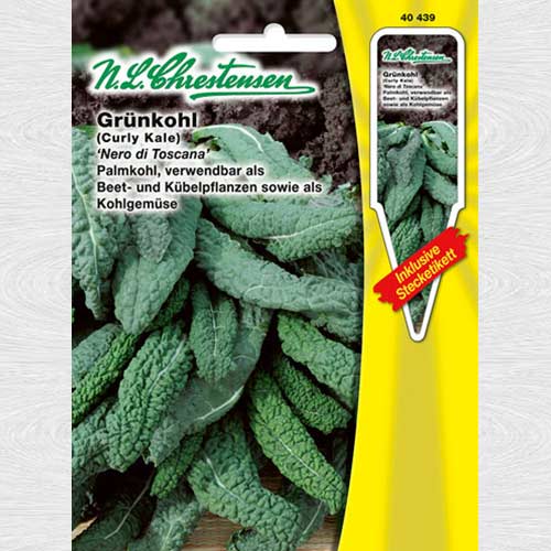 Varză kale Nero di Toscana imagine 1 articol 69081