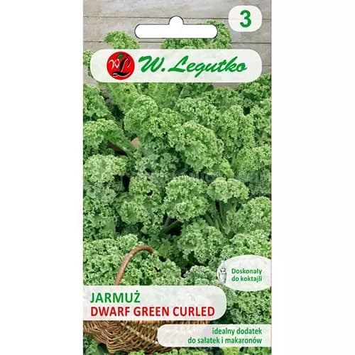 Varză Kale pitică Green Curled imagine 1 articol 69474